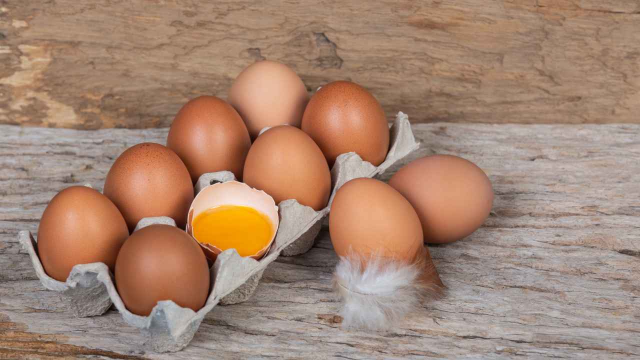 Как выбрать куриные яйца
