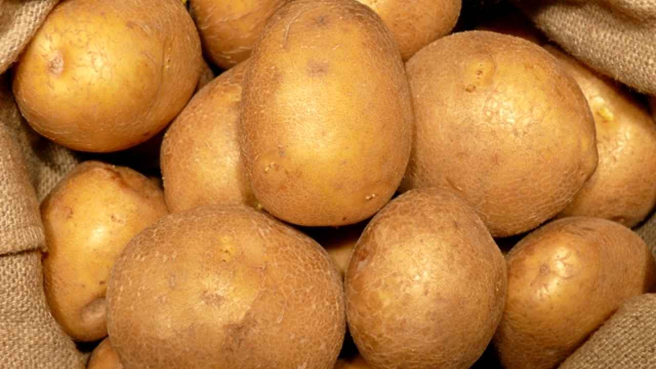 Большое путешествие картофеля