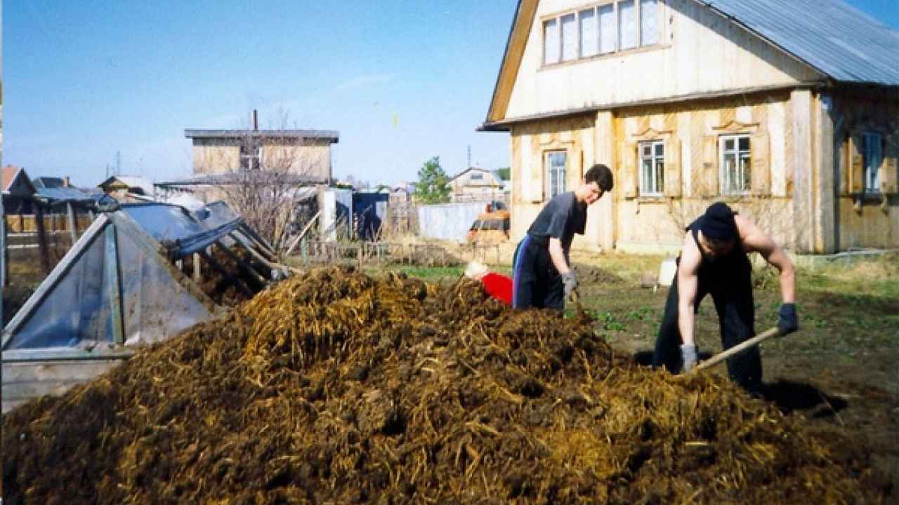 Органические удобрения