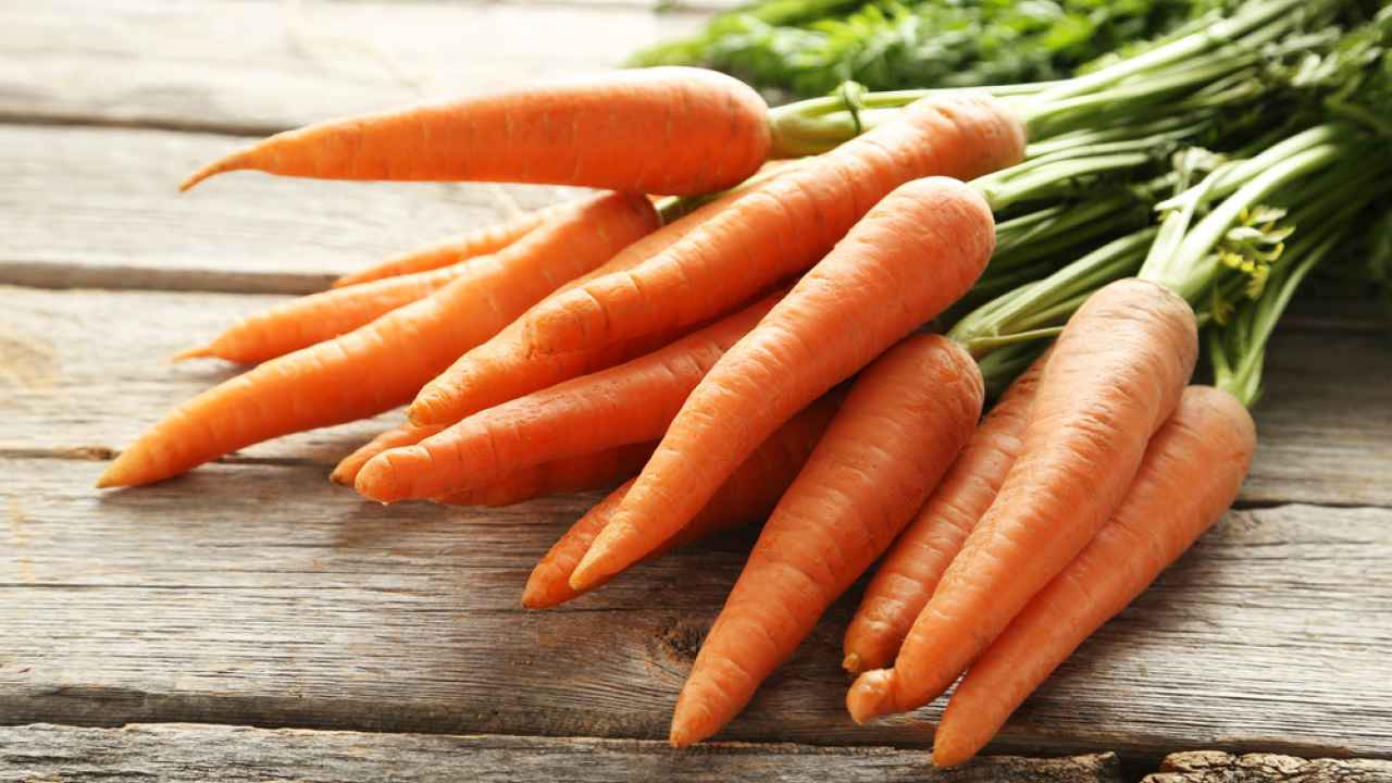 Всё о моркови