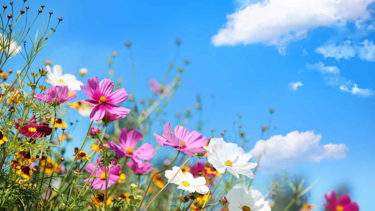 Фото: fotohunter/Shutterstock.com