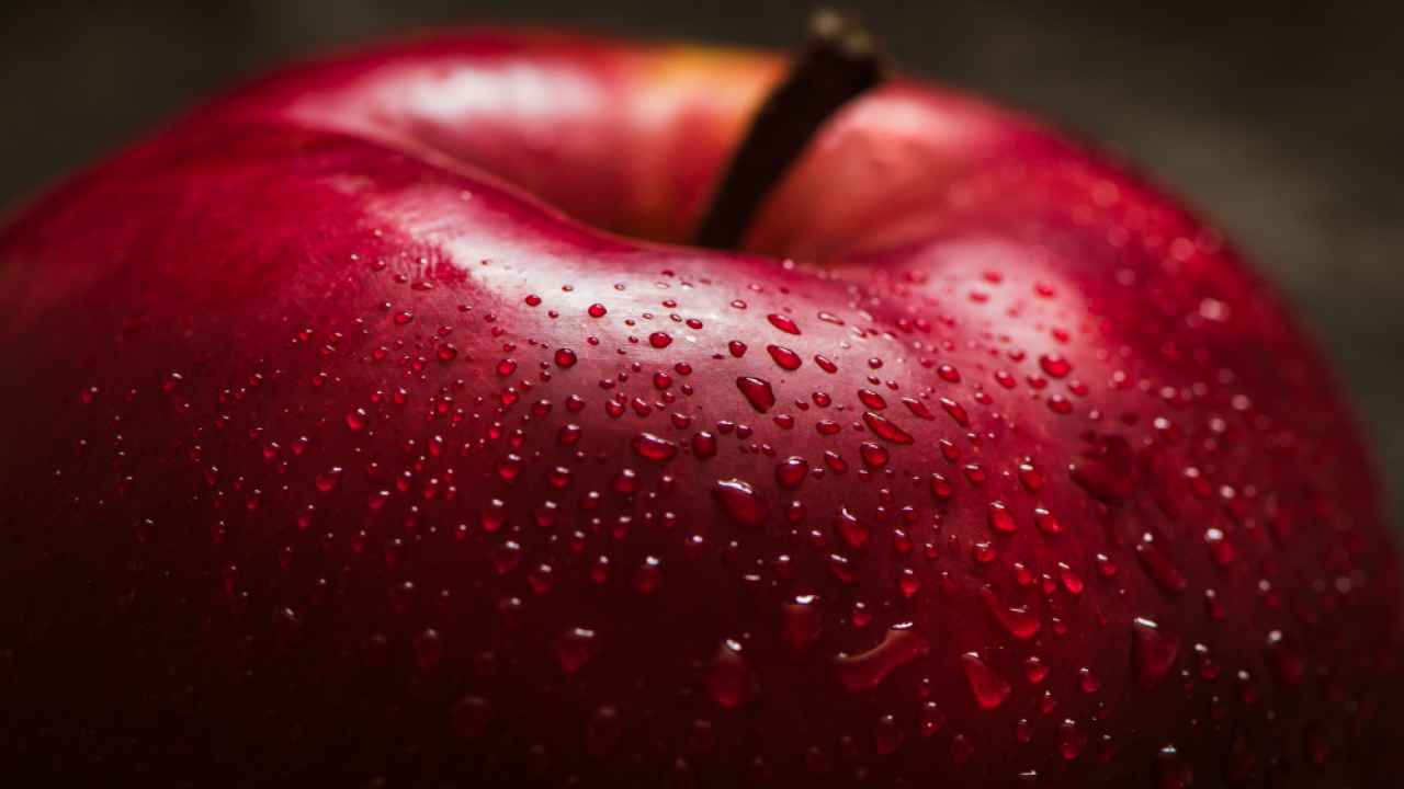 Фото: sharshonm/Shutterstock.com