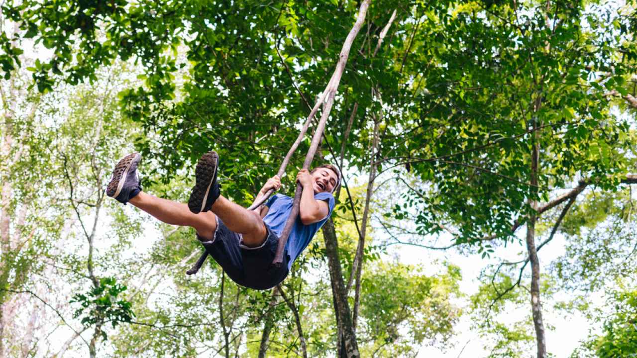 Делаем сами Троллей, Zip Line или просто Тарзанку на даче | Мой блокнот | Дзен