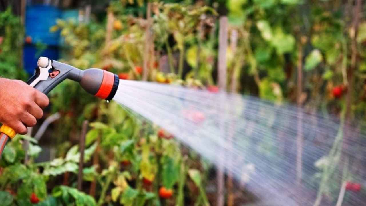 Использование водоема для полива огорода