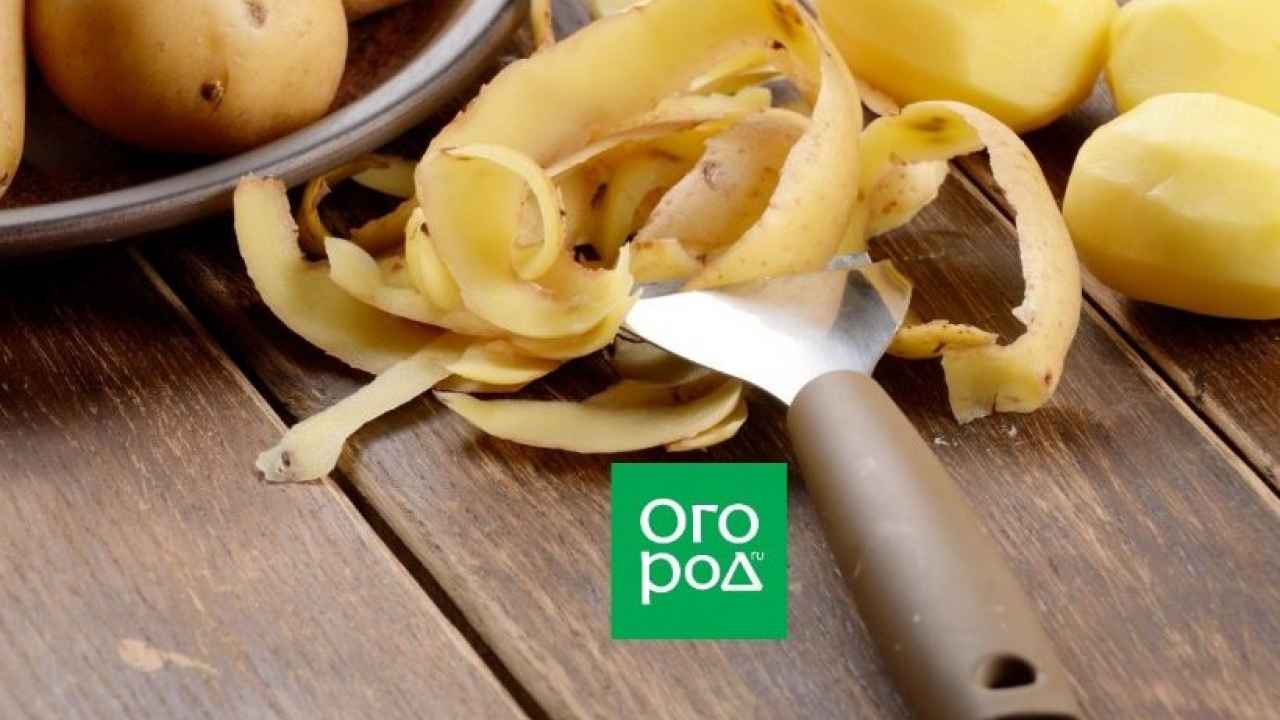 Использование картофельных очистков на даче