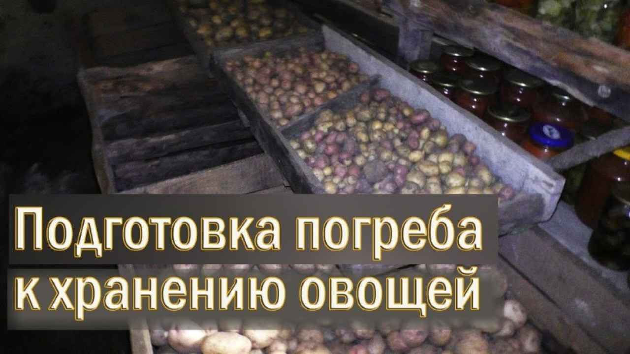 Подготовка погреба для овощей