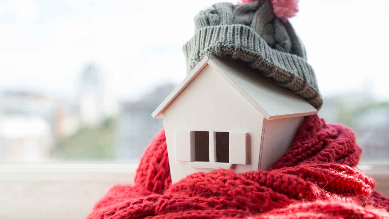 Фото: Kishivan/Shutterstock.com
