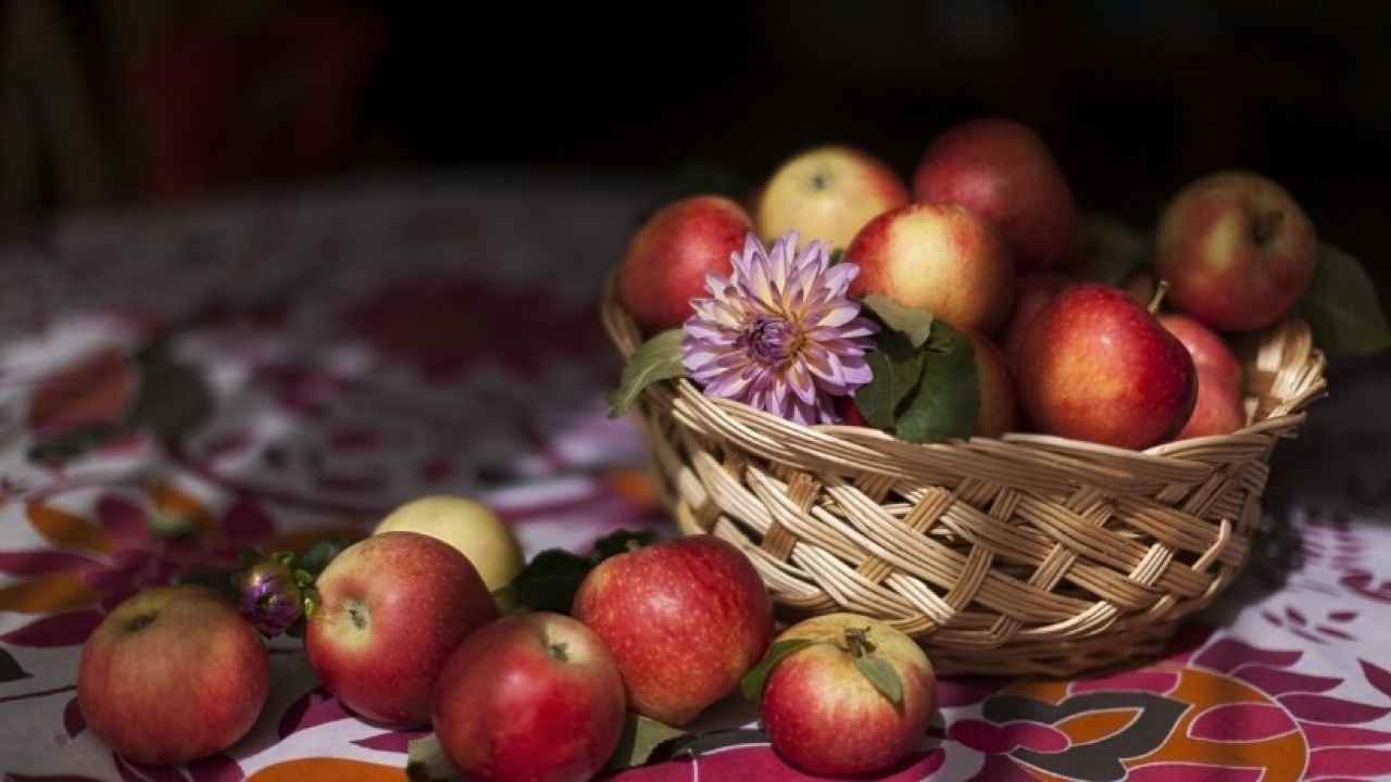 Влияние минералов на качество яблок