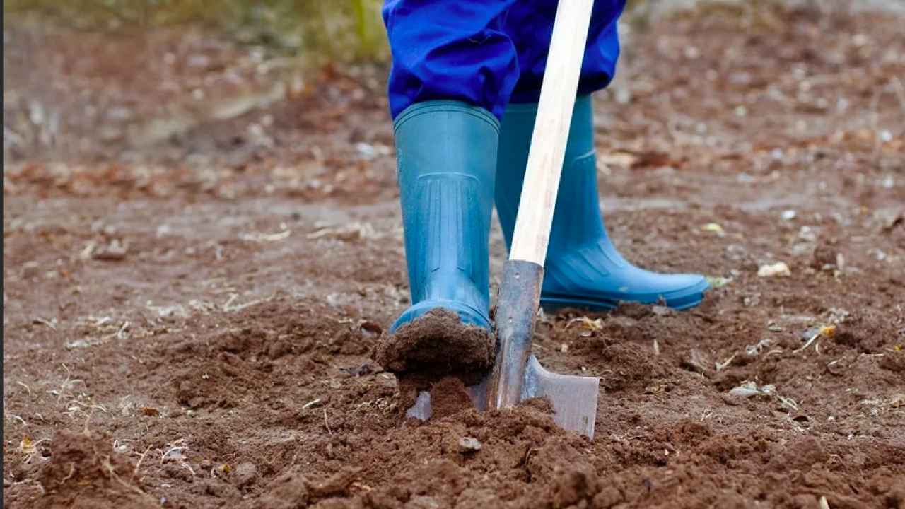Обработка почвы в саду – копать или не копать