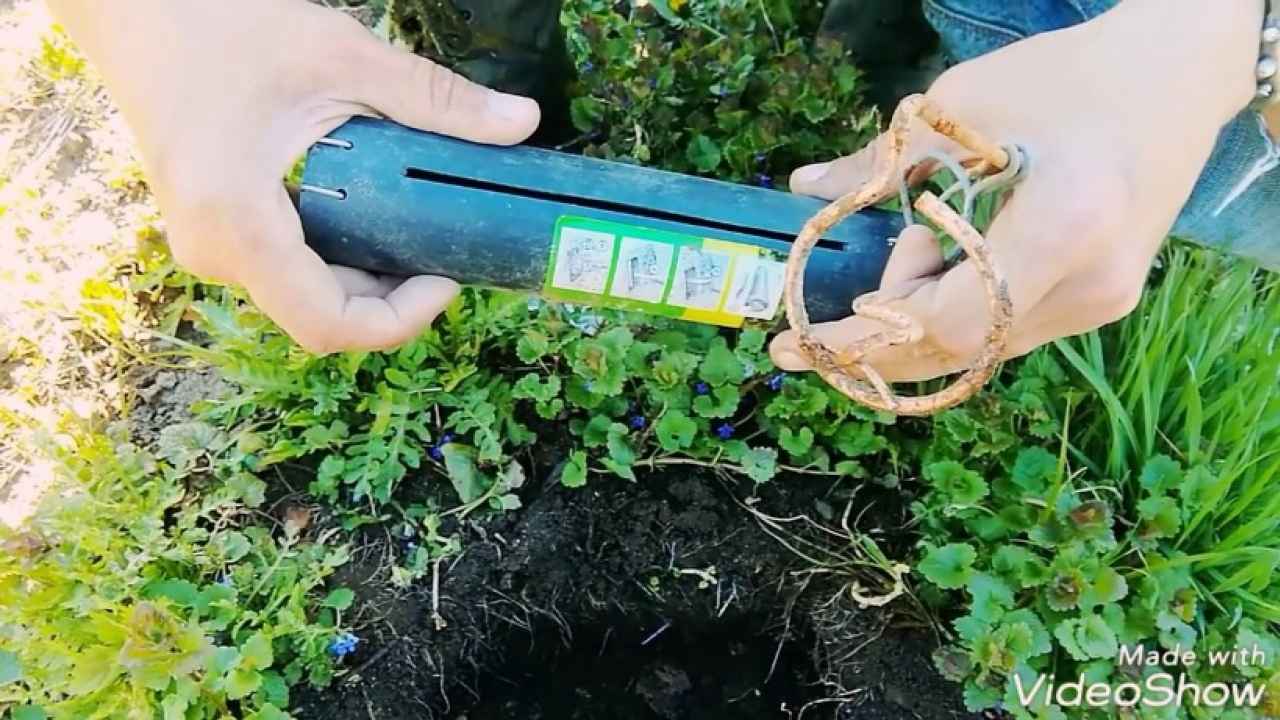 Опыт борьбы с кротами
