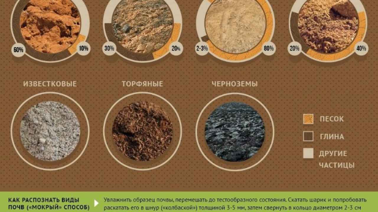 Какие бывают типы почв?