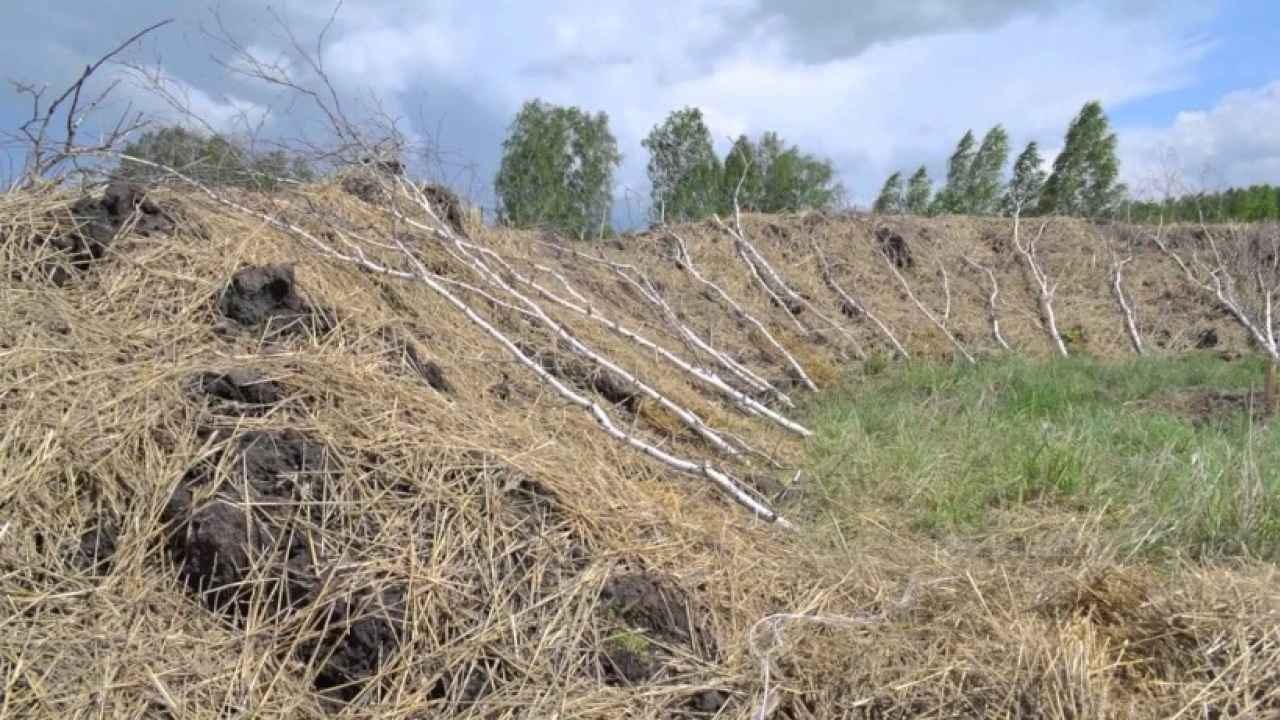 Высокая гряда Зеппа Хольцера - Бобёр.ру