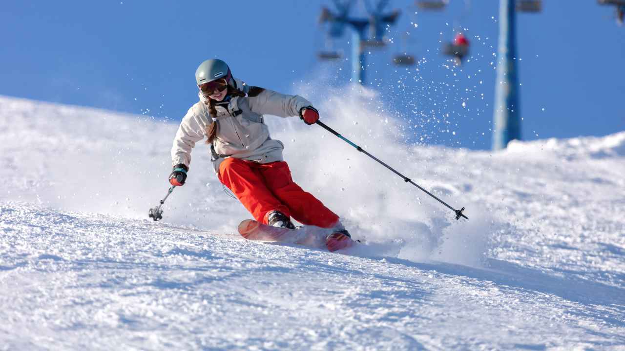 Фото: Wlad Go/Shutterstock.com 