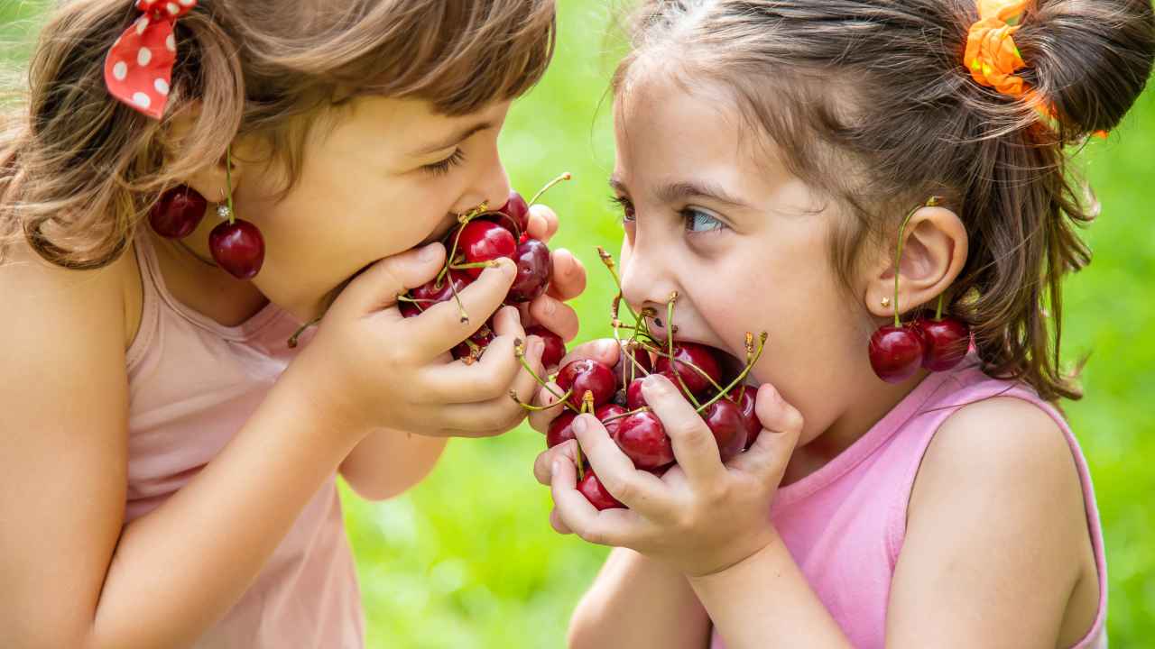 Фото: Tatevosian Yana / Shutterstock