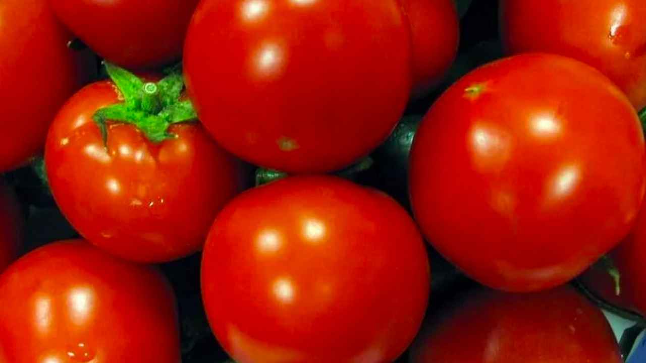  Астраханские помидоры