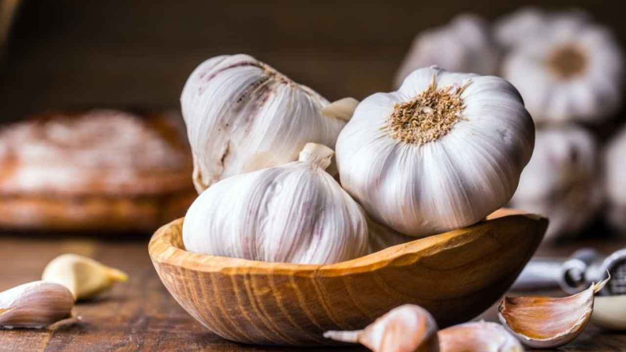 Осенняя посадка чеснока