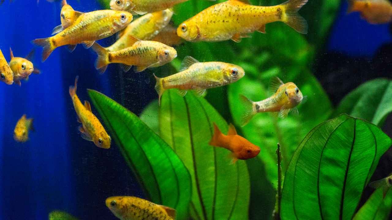 Фото: Andrej Jakubik / Shutterstock