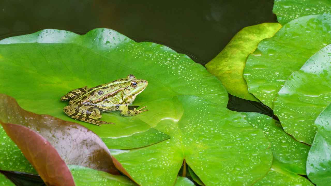 Фото: Marinodenisenko / Shutterstock