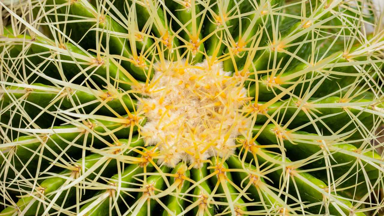 Фото: Chaikom / Shutterstock