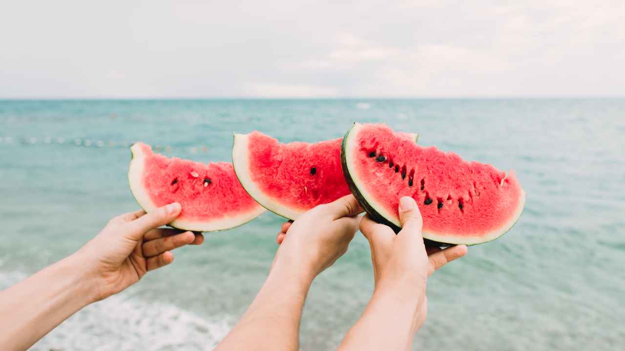 Фото: Daria Fomina/Shutterstock.com