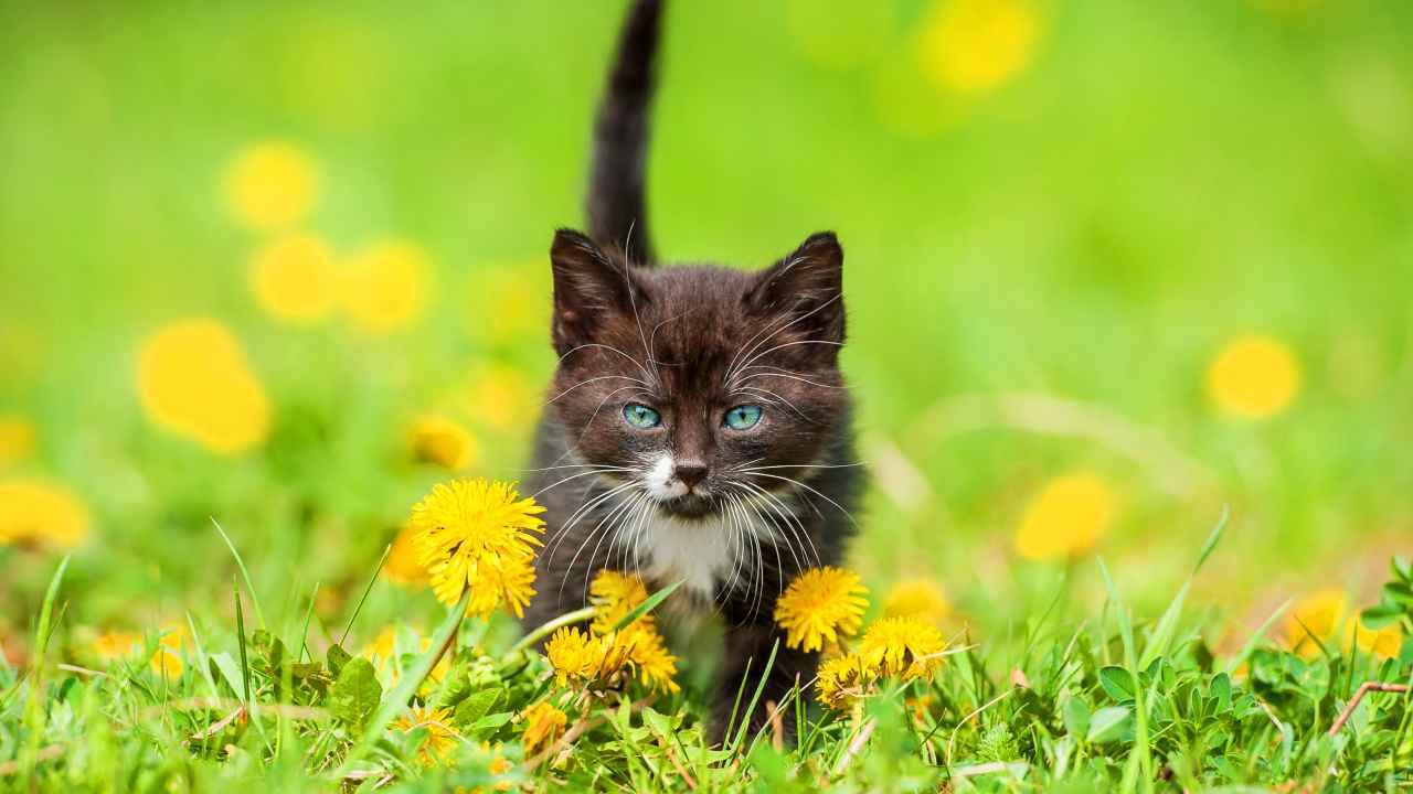 Фото: Rita_Kochmarjova / Shutterstock
