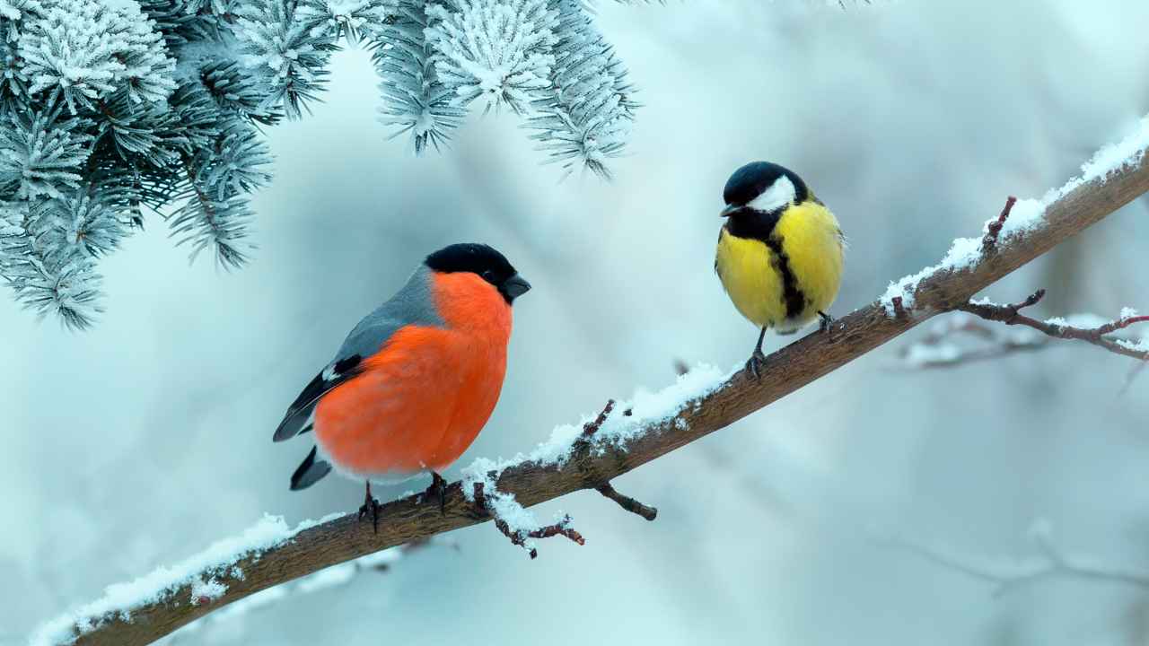 Фото: Bachkova Natalia / Shutterstock