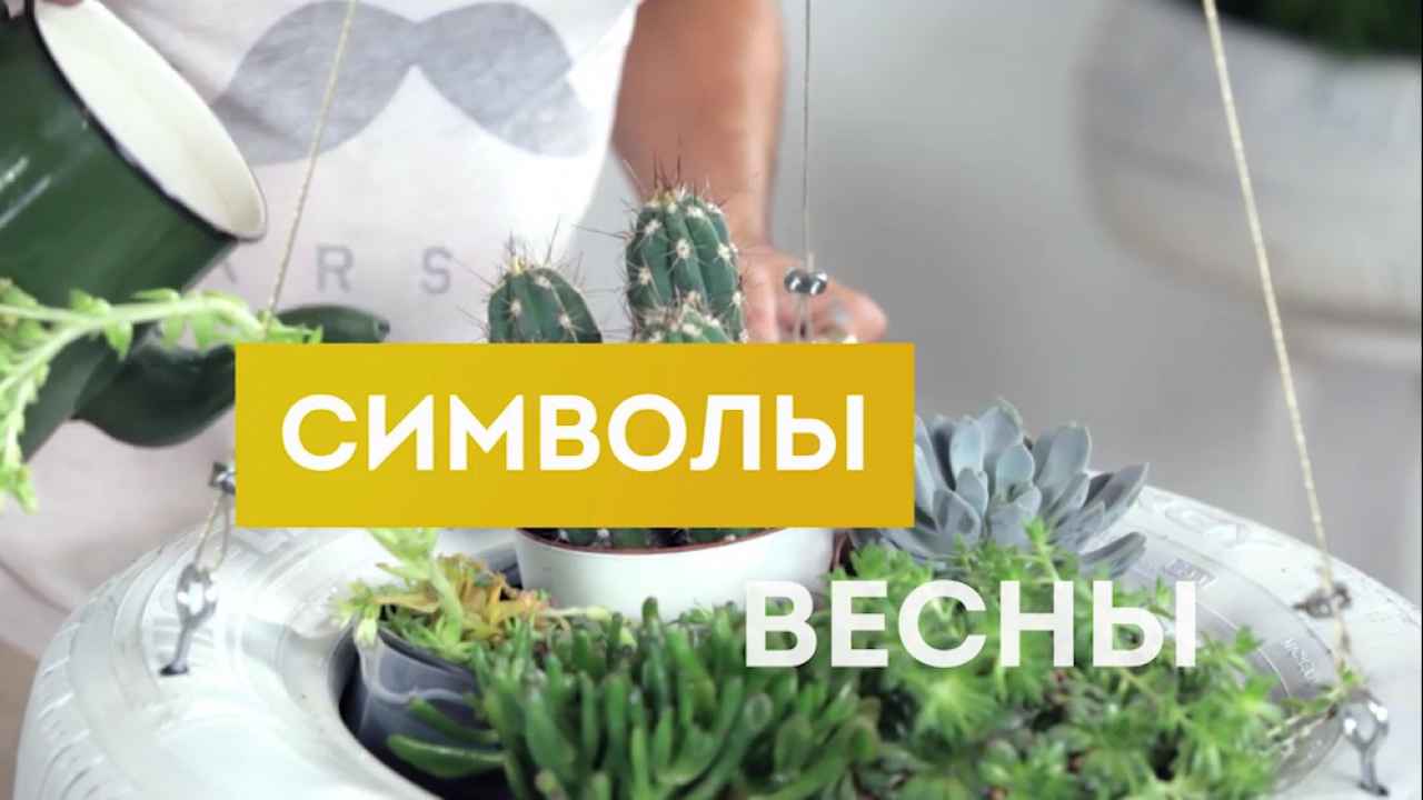 Телеканал «БОБЁР» создаст Символы Весны! - Бобёр.ру