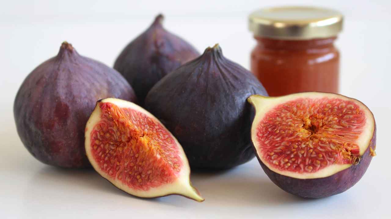 Purple fig