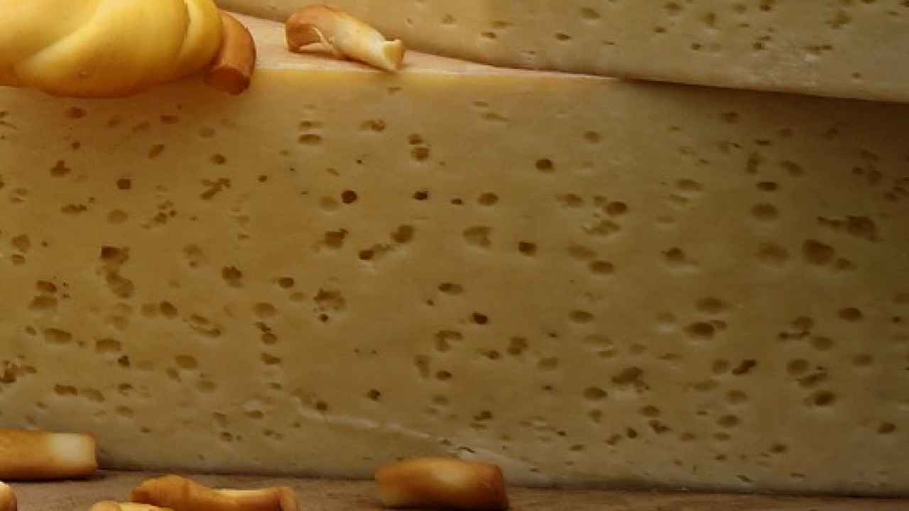 Сыр «Российский»
