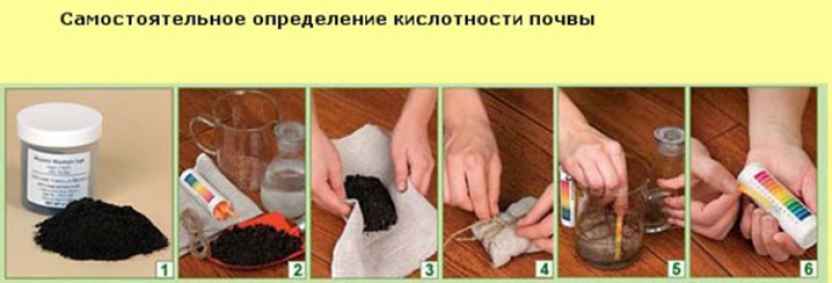 Как проверить почву на кислотность. Определение кислотности почвы. Определение кислотности поч. Как определить кислотность почвы. РН кислотность почвы.
