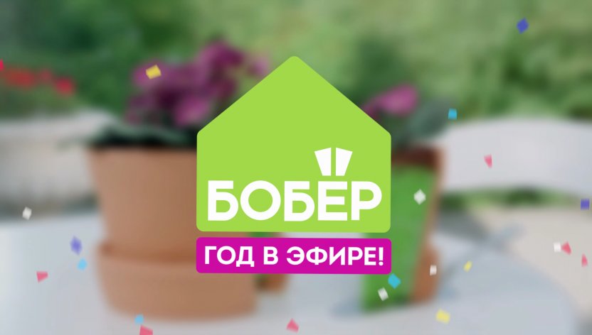 Телеканалу «Бобёр» — 1 год