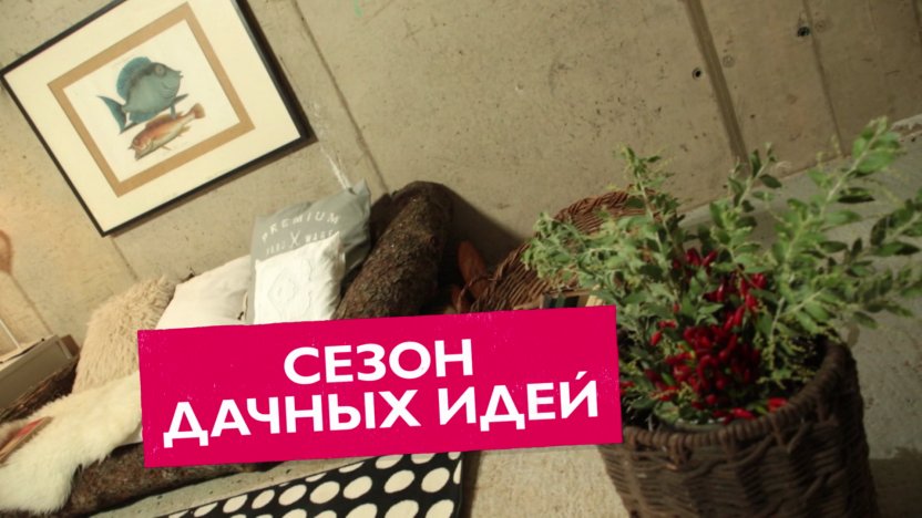 Телеканал «Бобёр» даёт шанс выиграть переделку на даче