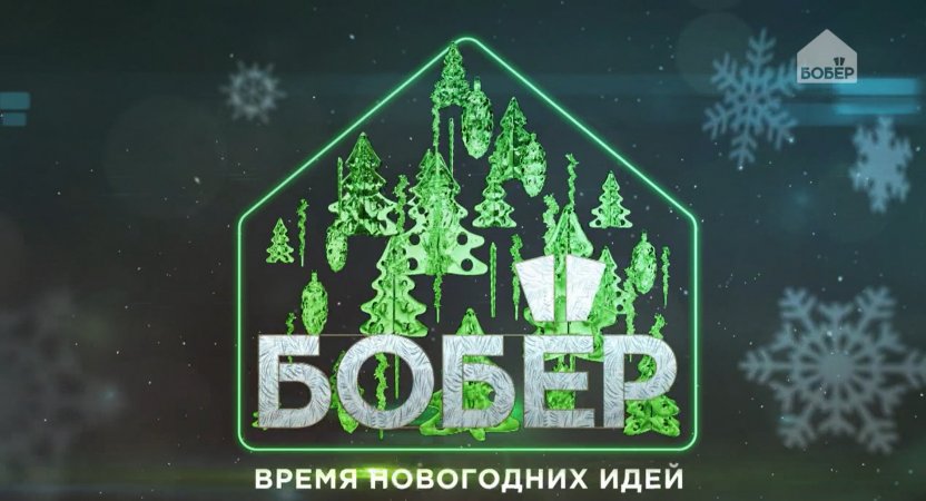 «Время новогодних идей» — на телеканале «Бобёр»!