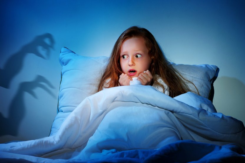 Фото: Shutterstock