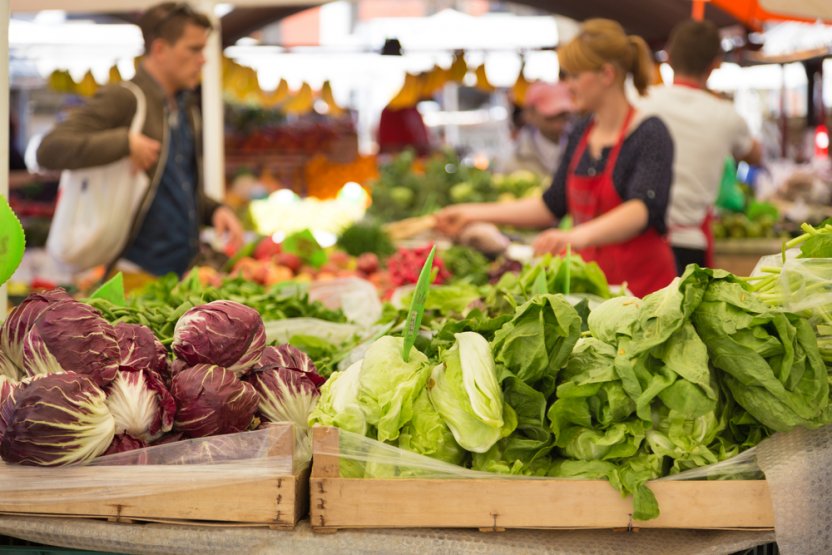 Российские производители овощей договорились ограничить наценку на продукцию