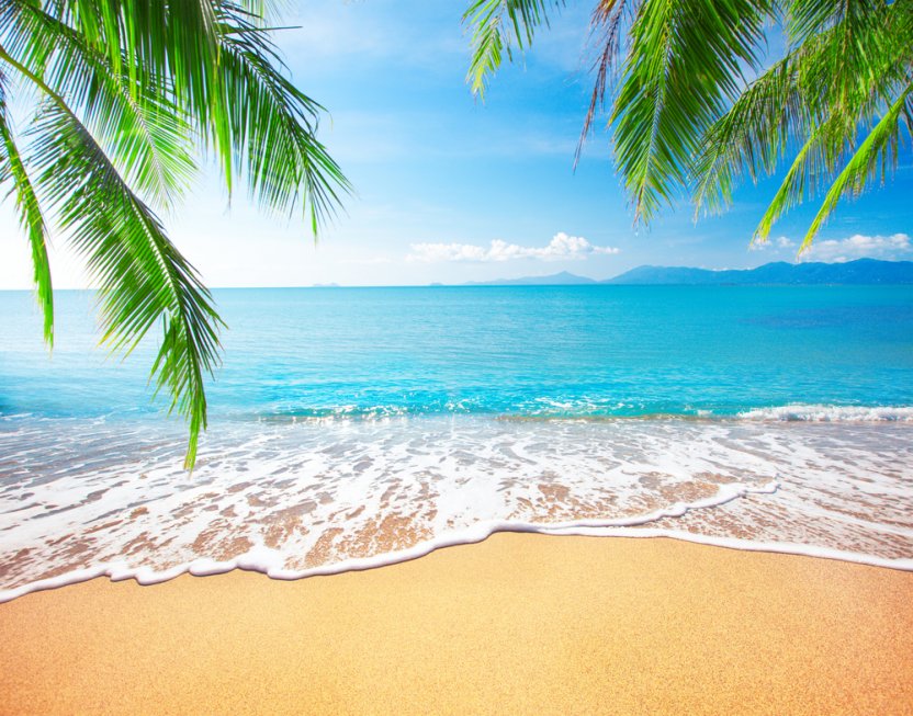 Фото: Shutterstock