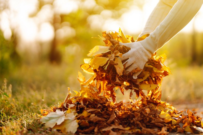 Фото: Shutterstock