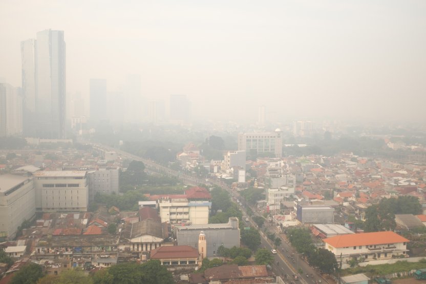Советы врачей, как пережить смог и дым от лесных пожаров