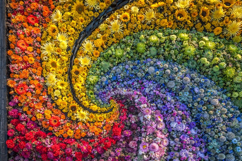 Фото: Regina M art/Shutterstock.com