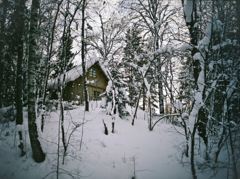 Фото: Plato Terentev/pexels.com