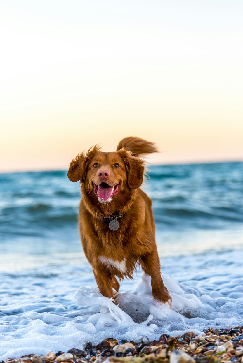Фото: Oscar Sutton / unsplash