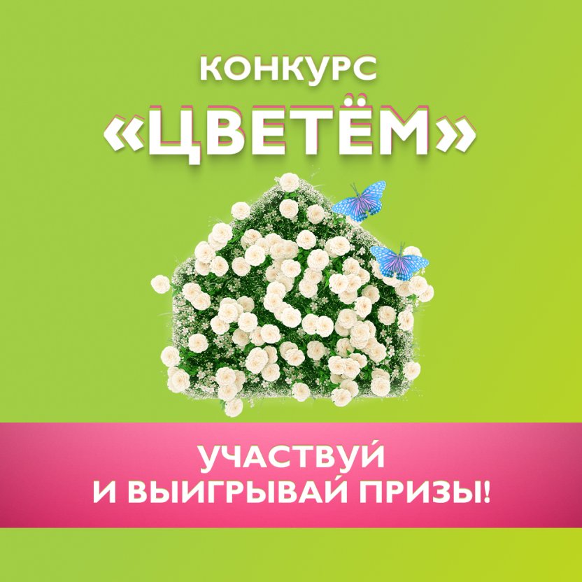 «Цветём» вместе с нами — телеканал «Бобёр» проводит яркий конкурс с полезными призами!