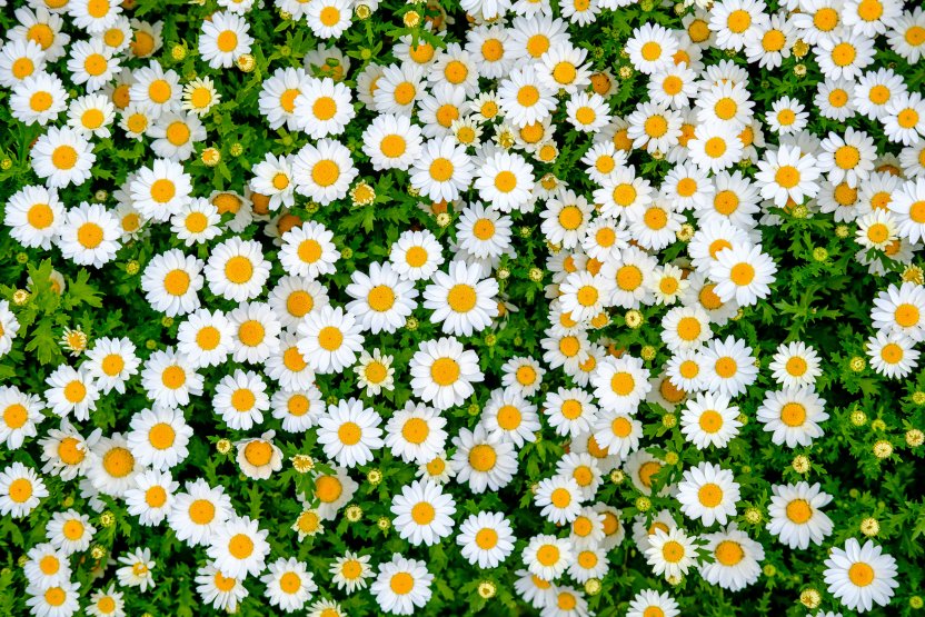 Фото: Luke Michael / unsplash