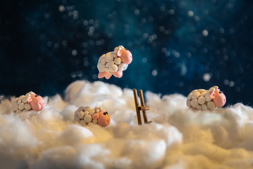 Фото: Lizavetta / Shutterstock