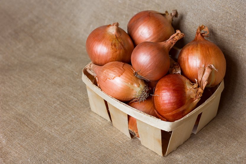 Фото: Kachor Valentyna / Shutterstock