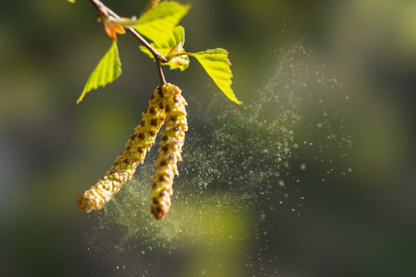 Фото: Igor Klyakhin / Shutterstock