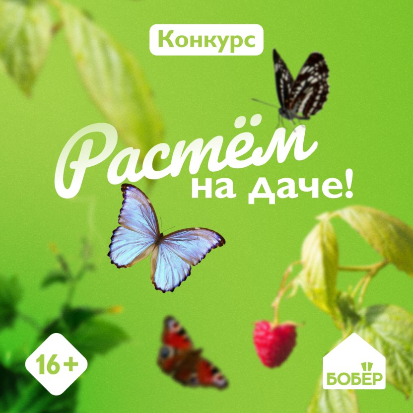 Телеканал «Бобёр» объявляет суперконкурс!