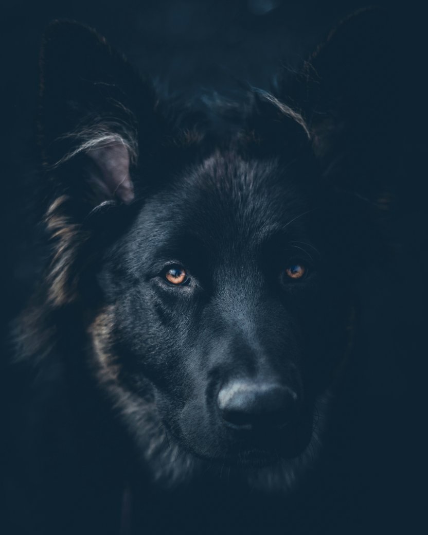 Фото: Daniel Lincoln / unsplash