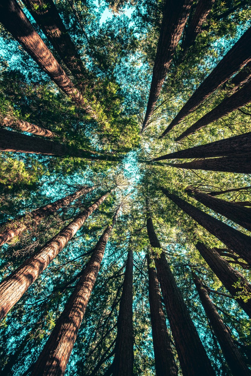 Фото: Casey Horner/ unsplash