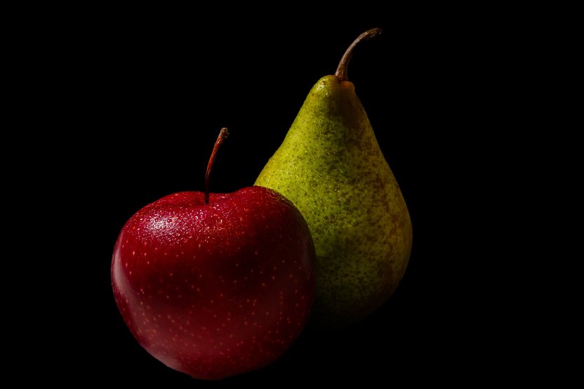 Фото: Stanislav Judas / Shutterstock